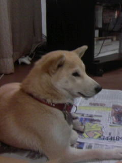 ファイル 199-1.jpg