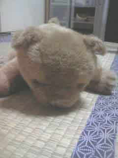 ファイル 360-1.jpg