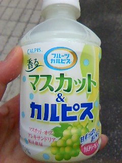 ファイル 445-1.jpg