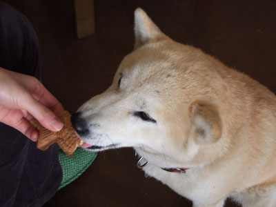 ファイル 654-1.jpg