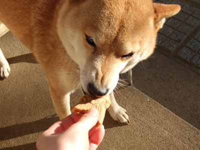 ファイル 654-2.jpg