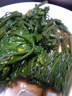 ファイル 748-1.jpg