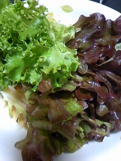 ファイル 749-1.jpg