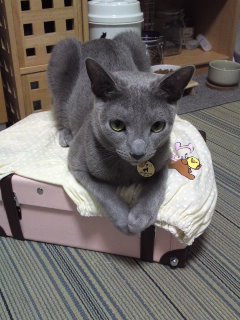 ファイル 772-1.jpg