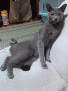 ファイル 773-1.jpg