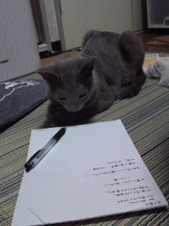 ファイル 779-1.jpg