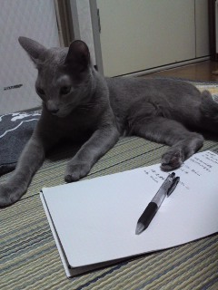 ファイル 780-1.jpg