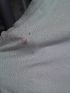 ファイル 782-1.jpg