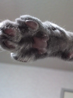 ファイル 788-1.jpg