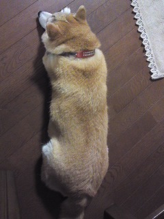 ファイル 810-1.jpg