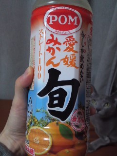 ファイル 817-1.jpg