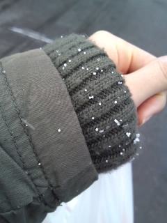 ファイル 827-1.jpg