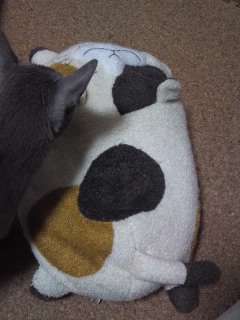 ファイル 841-1.jpg