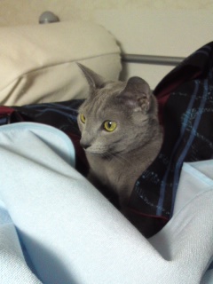 ファイル 846-1.jpg